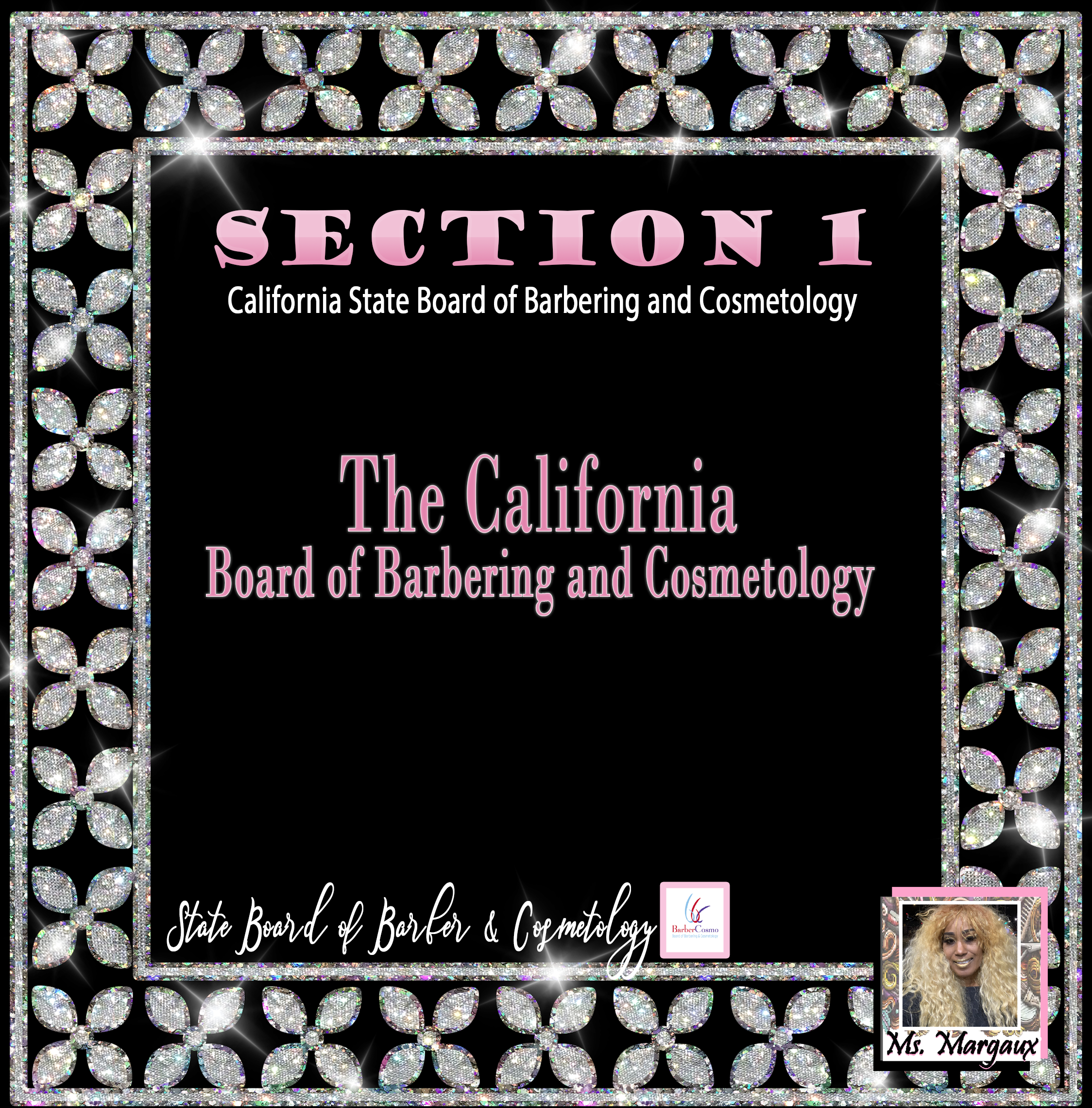 H and S Section 1